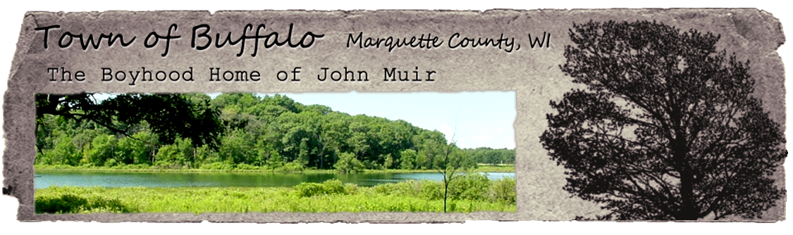 Township of Buffalo WI Logo